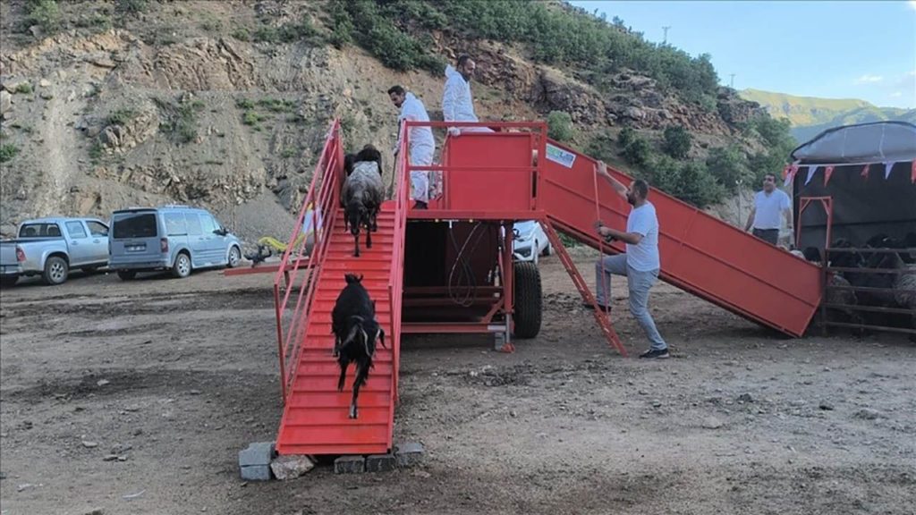 Şırnak’ta Hayvan Sağlığı İçin Mobil Veteriner Kontrol Noktaları Kuruldu