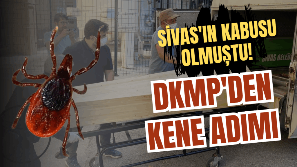 Sivas’ta Kene Popülasyonu ve Mücadele Çalışmaları