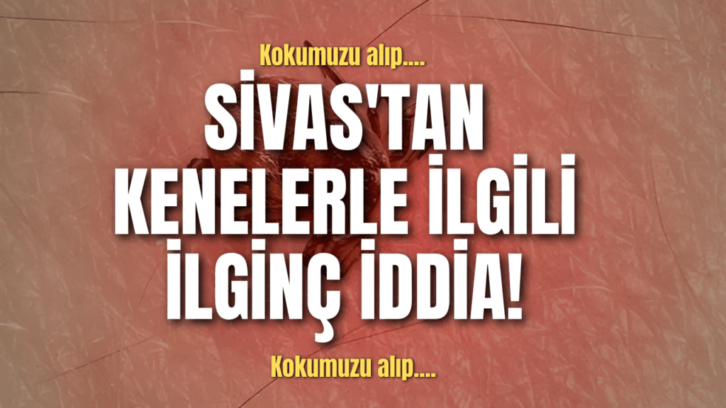 Sivas’ta Kene Tehdidi Artıyor: Köyde Ot Toplamaya Giden Aile Kene Saldırısına Uğradı
