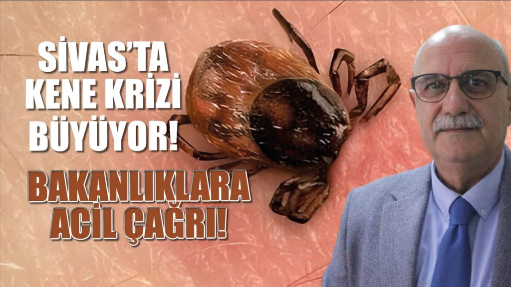 Sivas’ta Kene Vaka Sayıları Artıyor: Yetkililer Uyarıyor