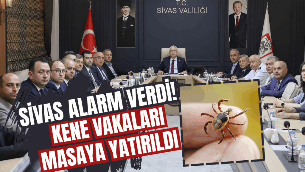 Sivas’ta Kene Vebasıyla Mücadele ve Güncel Durum