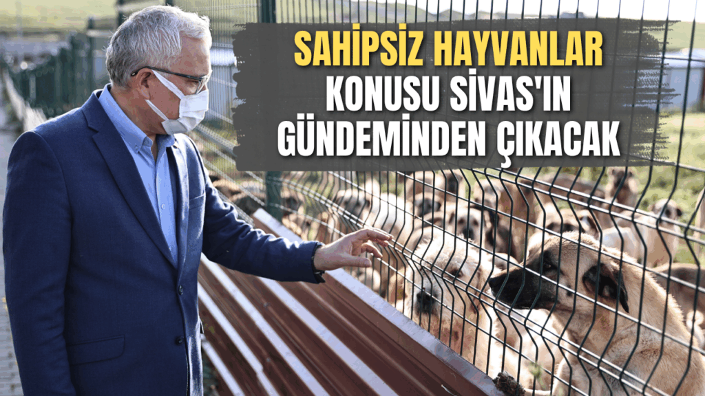 Sivas’ta Modern Sokak Hayvanları Bakım Merkezi Hizmete Açıldı