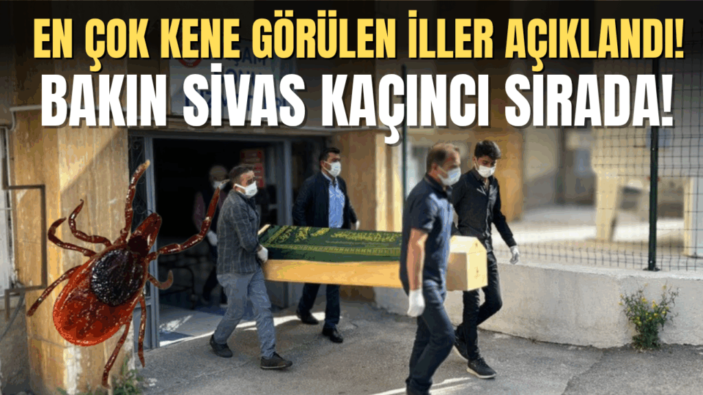 Türkiye’de Kene Isırıkları ve Artan Riskler