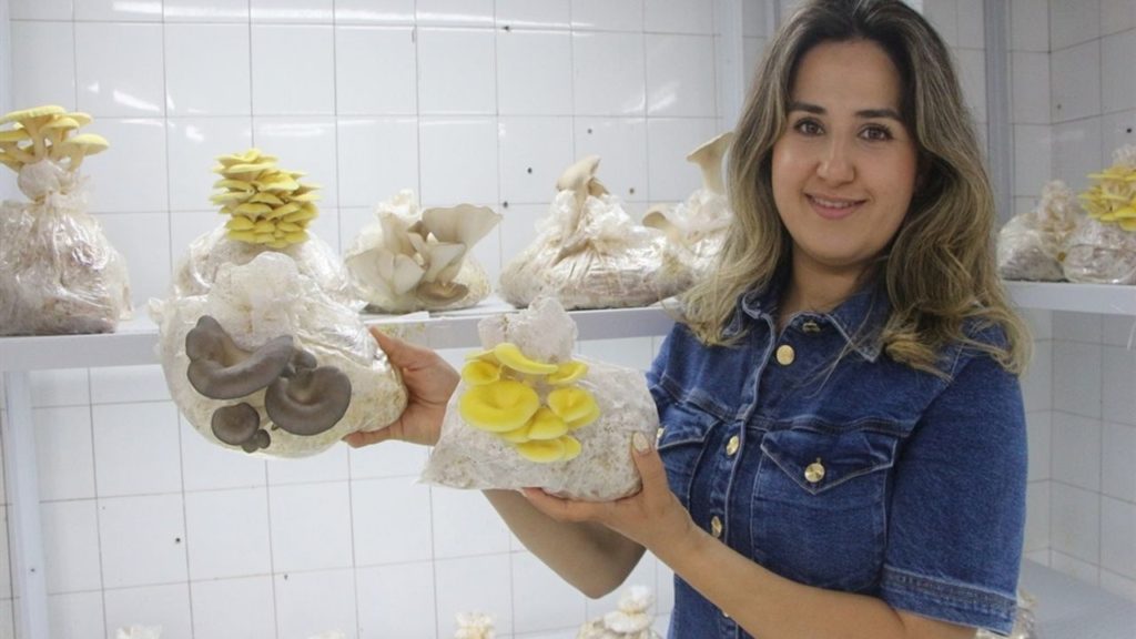 Türkiye’de Mantar Üretiminde Yeni Atılımlar ve Çeşitlenmeler