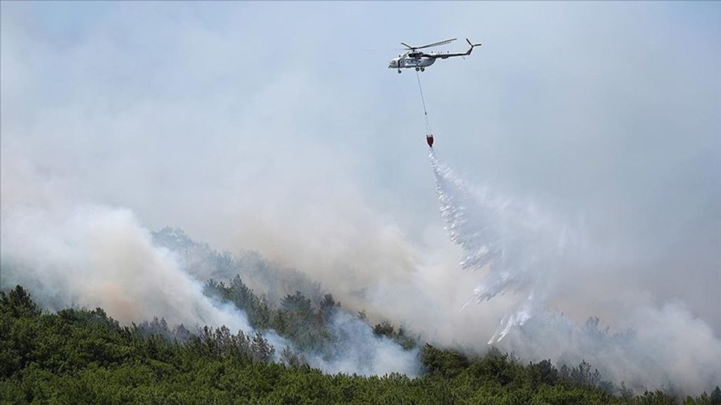 Türkiye’de Orman Yangınları ve İklim Etkileriyle Mücadele