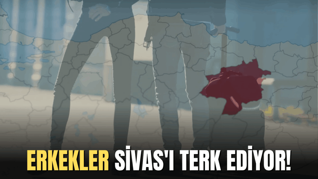 Türkiye’nin Göç İstatistikleri 2024 Yılında Güncellendi