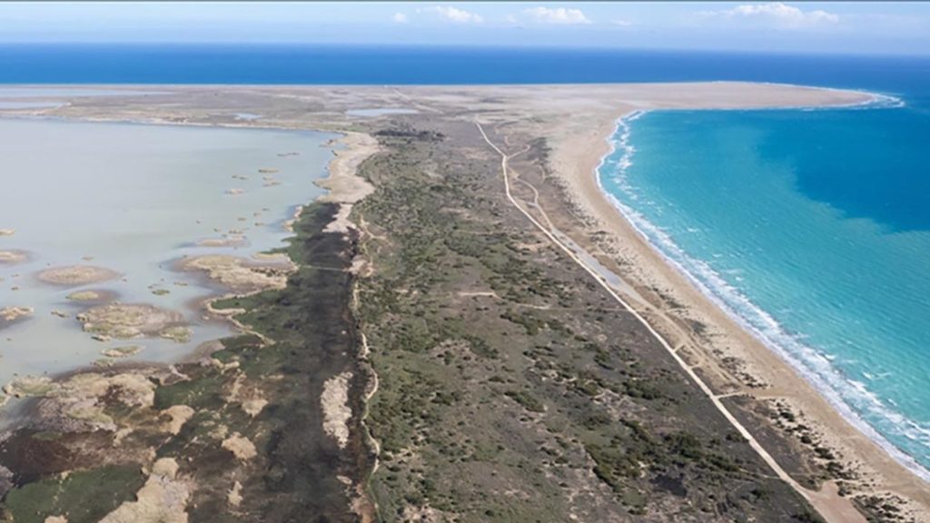Türkiye’nin Korunan Alanları ve Karbon Yutak Çalışmaları Artıyor