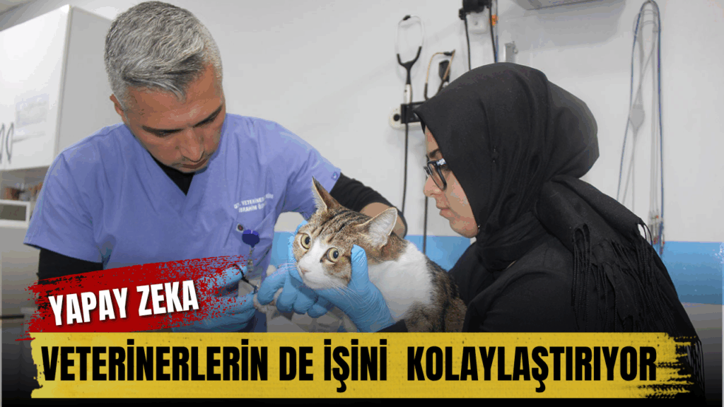 Veterinerlikte Yapay Zeka Destekli Tanı ve Tedavi Uygulamaları
