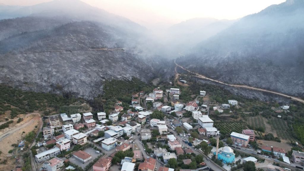 Bursa’da Orman Yangını: Gün Ağarken Ortaya Çıkan Yıkım