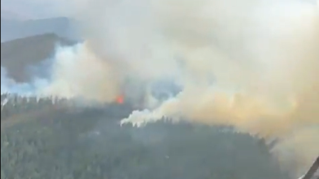 Çankırı’da Orman Yangını Kontrol Altına Alınıyor