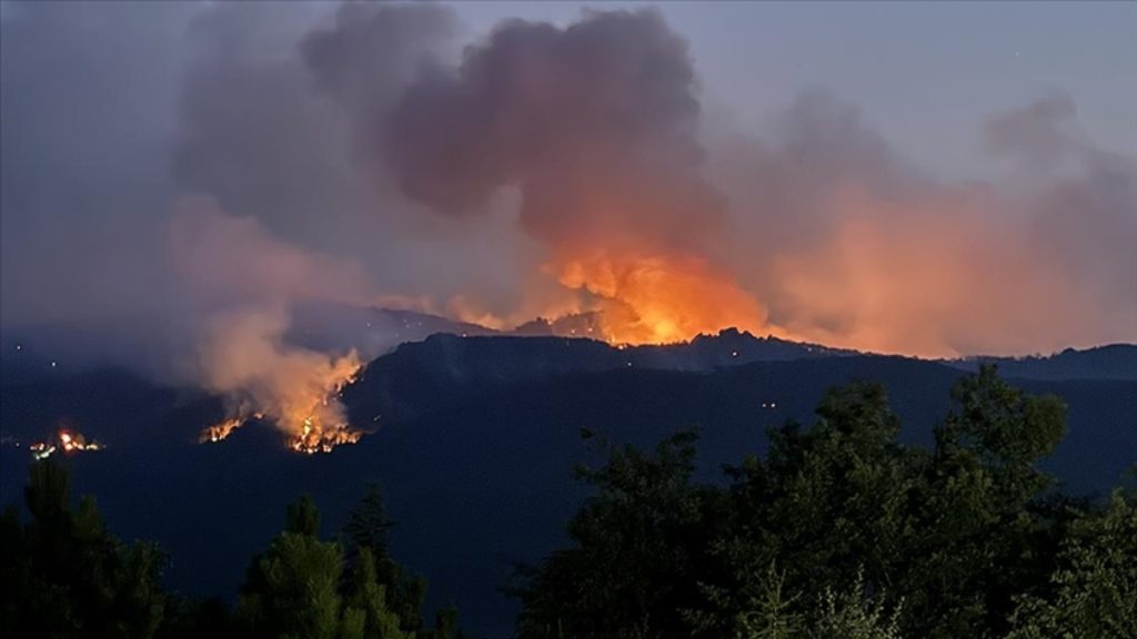 Eskişehir’deki Orman Yangını Sonrası Şehitler ve Güncel Durum