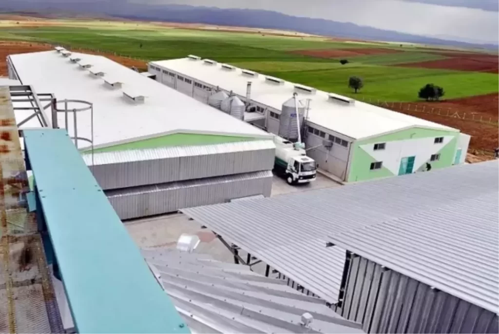 FETÖ Bağlantılı Şirketlere Kayyum Ataması ve YUMTAT’ın Durumu