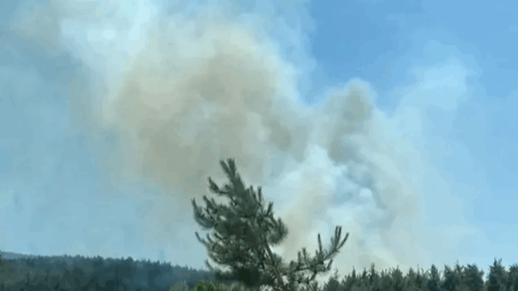 Hatay’da Orman Yangınıyla İlgili Soruşturma Ve Tutuklama