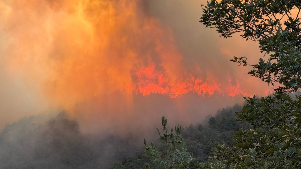 Hendek’te Orman Yangını Kontrol Altına Alındı