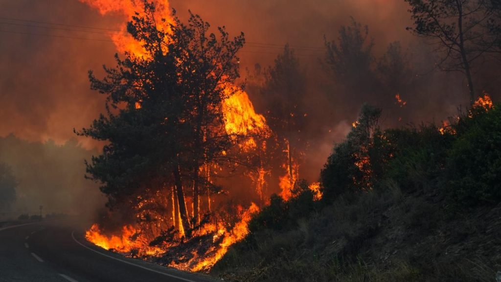 İçişleri Bakanı Ali Yerlikaya: Artan Orman Yangınlarıyla Mücadelede Güncel Durum