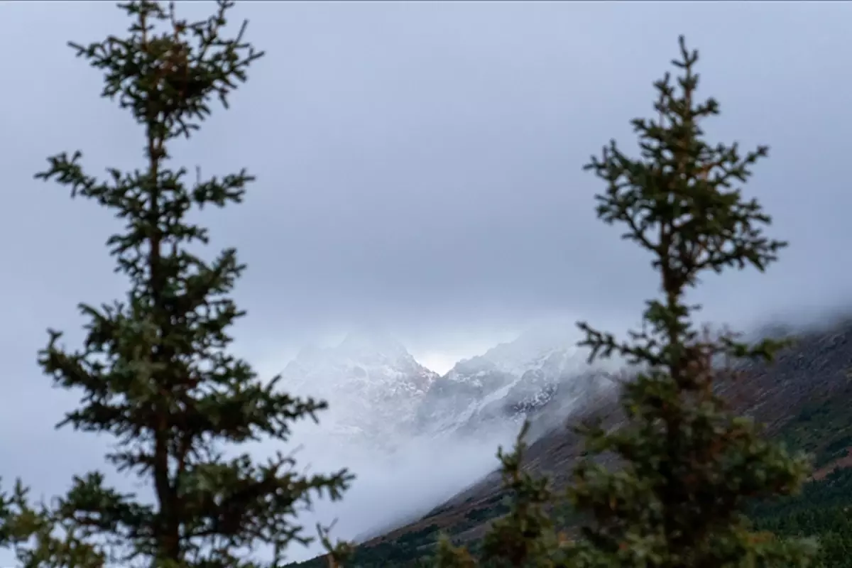 İliamna Yanardağı Yeniden Hareketlendi: Alaska’da Çığ Riski Artıyor