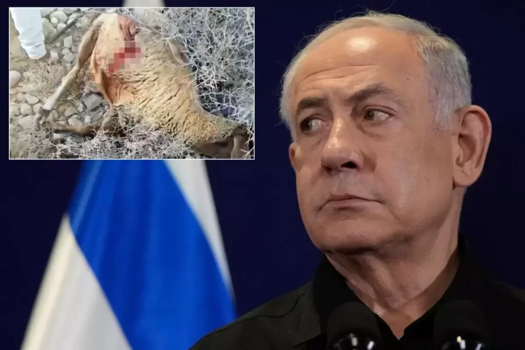 İsrail’in Filistin Topraklarındaki Saldırılarında Çiftlikler ve Hayvanlar Hedef Alınıyor