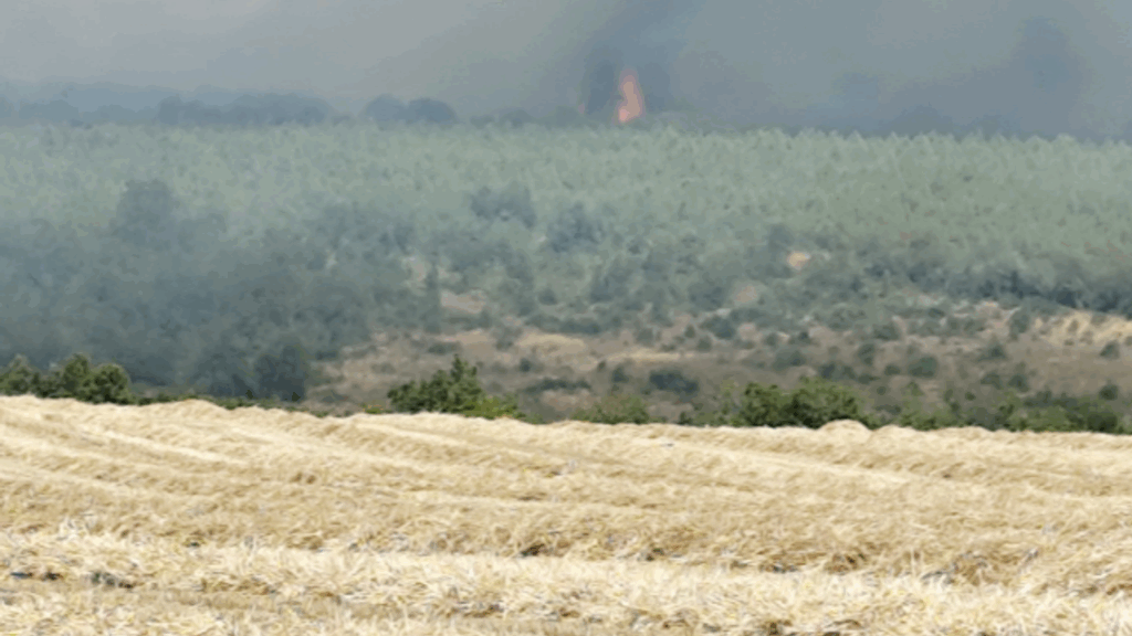 İstanbul Silivri’de Otluk Alanda Yangın Çıkışı ve Müdahale Çalışmaları