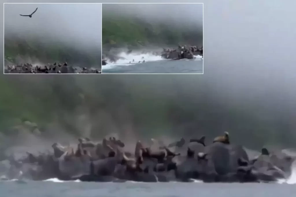 Kamçatka Yarımadası’nda 8.8 Büyüklüğünde Deprem ve Sonrası