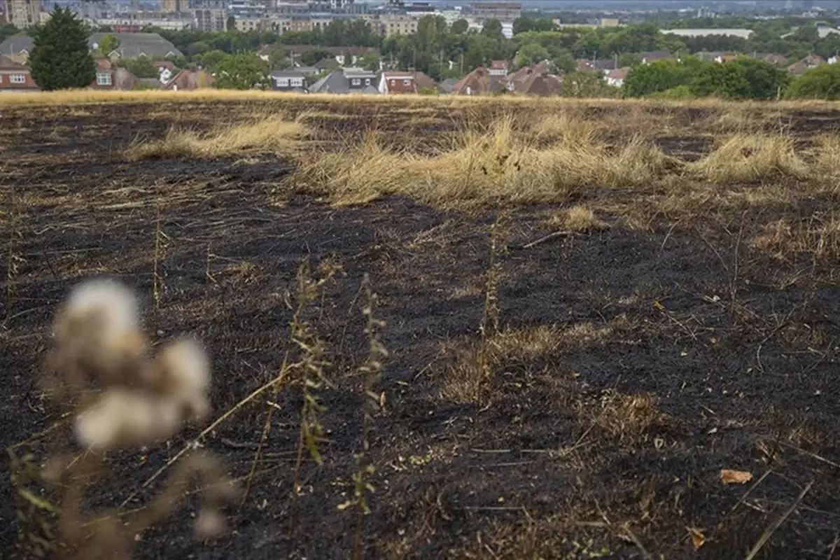 Londra Erith’te Büyük Sanayi Yangını
