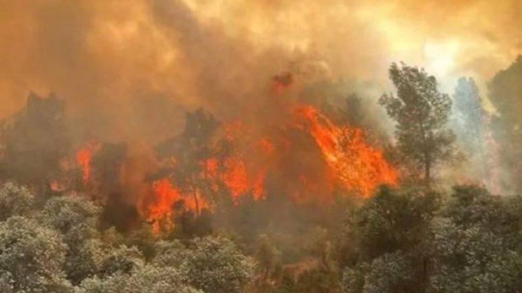 Manisa’da Orman Yangınına Müdahale Çalışmaları Devam Ediyor