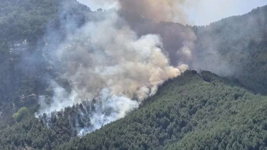 Muğla’da Orman Yangınlarıyla Mücadele Toplantısı Gerçekleştirildi