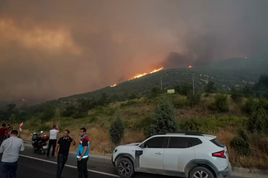 Orman Yangınları Sonrası Bölgesel Etki ve Güncel Durum