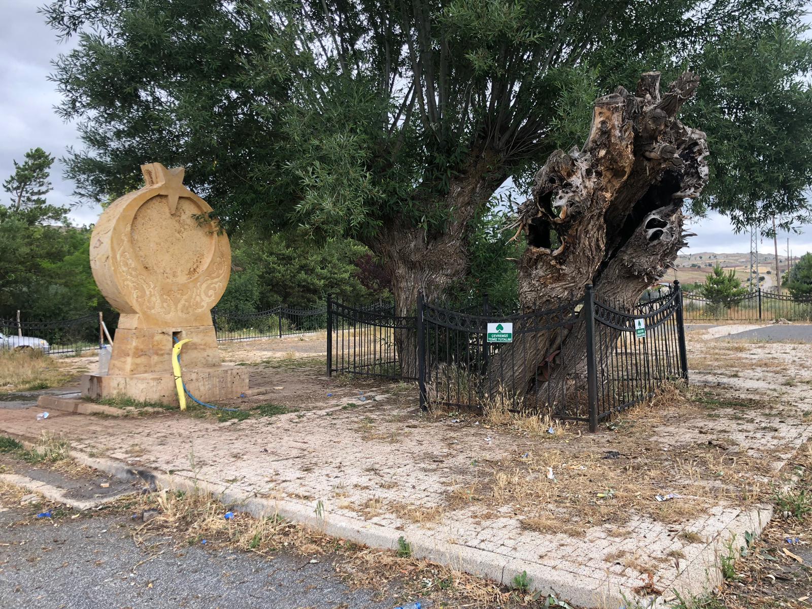 Çöpler ve Bakımsızlık Sorunu Gün yüzüne çıktı