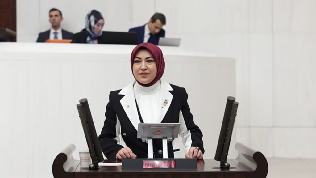 Rukiye Toy’dan Meclis’te provokasyona sert tepki