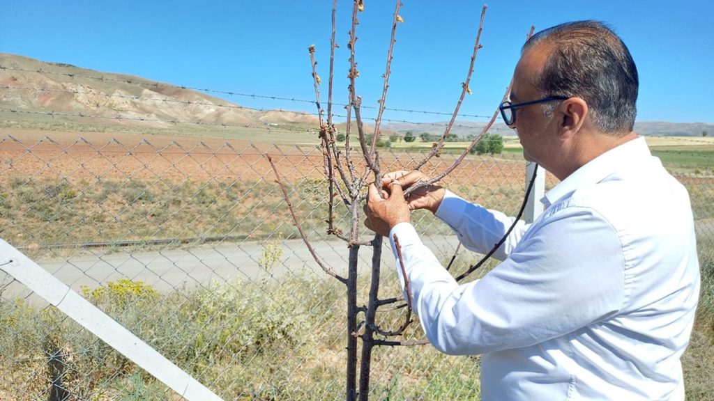 Sivas Bilim ve Teknoloji Üniversitesi Tarım Bilimleri ve Teknoloji Fakültesi’nden Çiftçilere Tarımsal Bilgilendirme Toplantısı