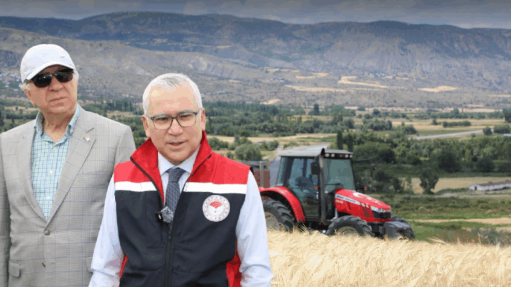 Sivas’ta İlk Hububat Hasadı Akıncılar İlçesinde Gerçekleşti