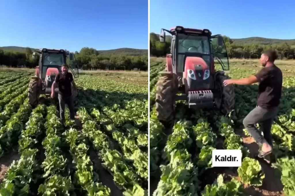 Tarım Ürünlerindeki Fiyat Farkları Çiftçiyi İsyan Ettiriyor