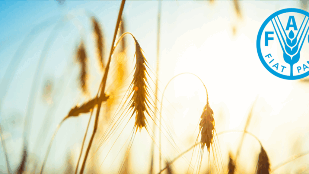 Türkiye, FAO Konsey Üyeliğine Seçildi