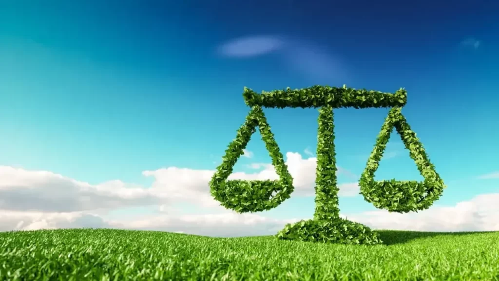 Türkiye’de İklim Kanunu: Endişelere Net Yanıtlar ve Hedefler