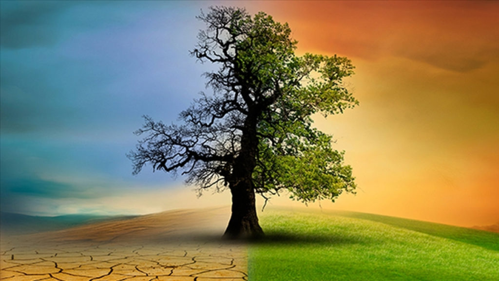 Türkiye’de İklim Kanunu Resmen Yasalaştı: Yanlış Anlaşılmalar ve Gerçekler