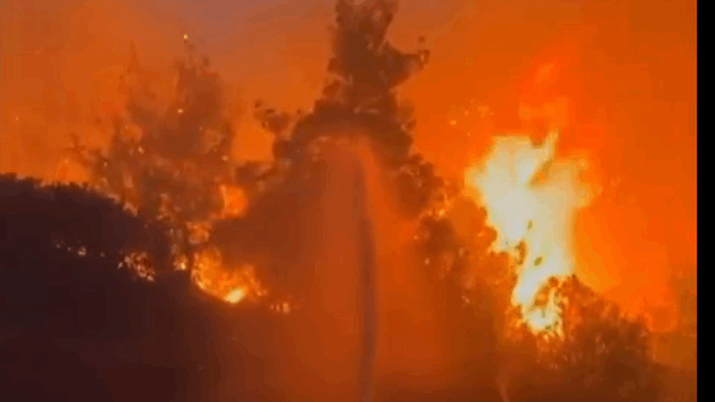 Türkiye’de Orman Yangınları Artarken Yetkililer Uyarıyor