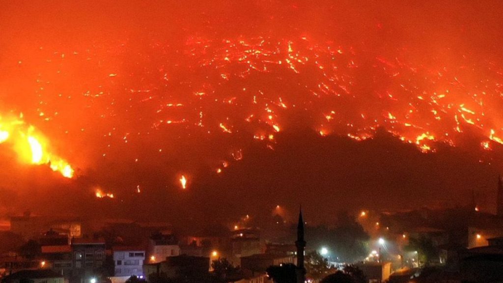 Türkiye’de Orman Yangınları ve Güvenlik Önlemleri