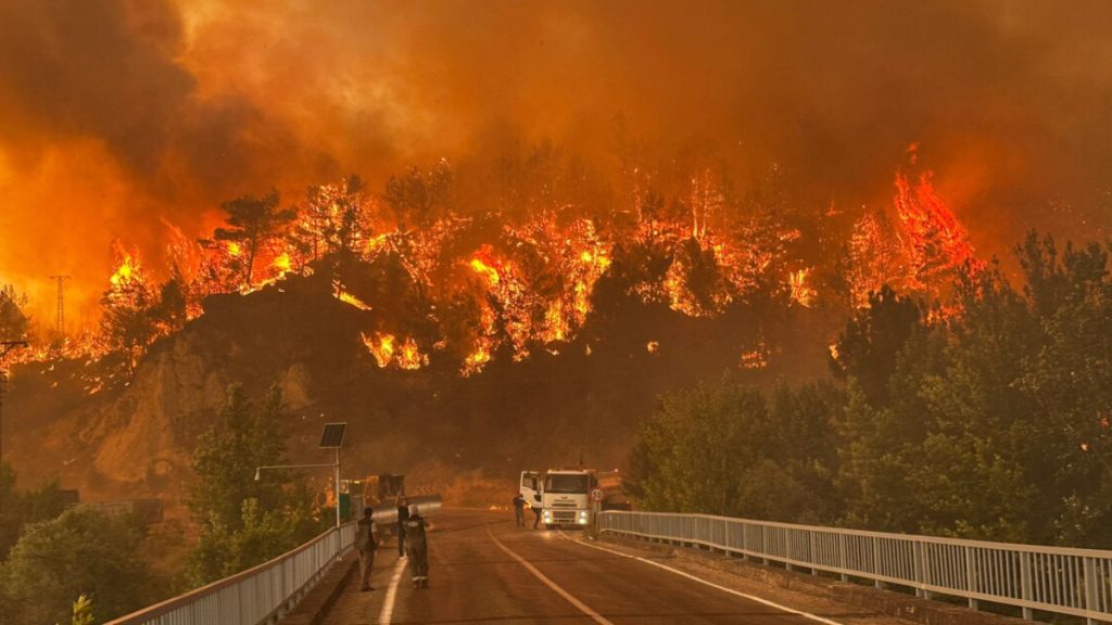 Türkiye’de Orman Yangınlarıyla Mücadele ve Gelişmeler