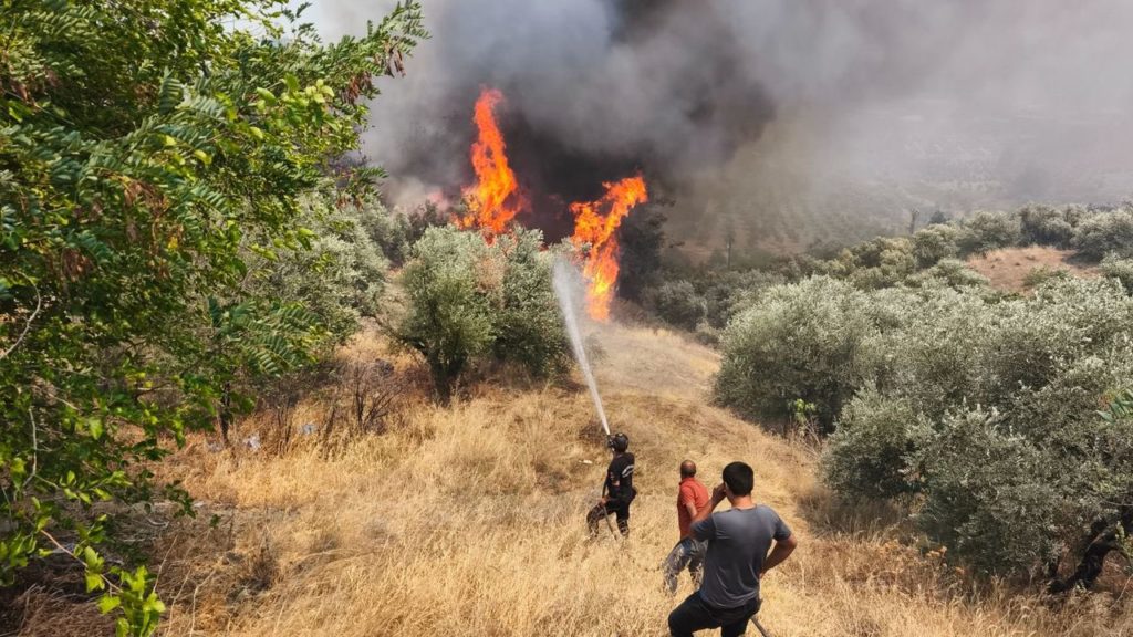 Türkiye’de Orman Yangınlarıyla Mücadele ve Gönüllü Programları