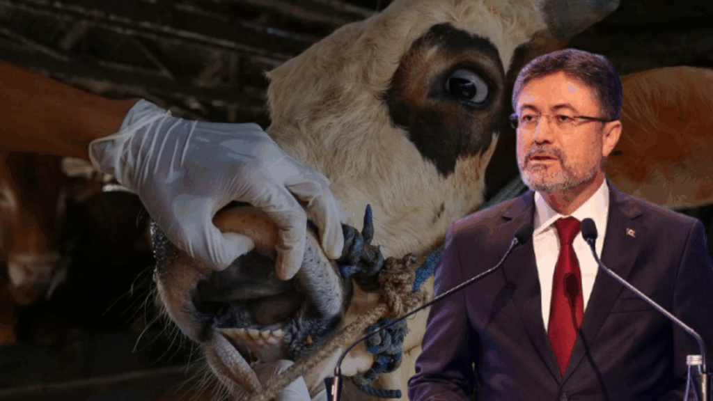 Türkiye’de Şap Hastalığı Nedeniyle Hayvan Pazarları Geçici Süreyle Kapatıldı