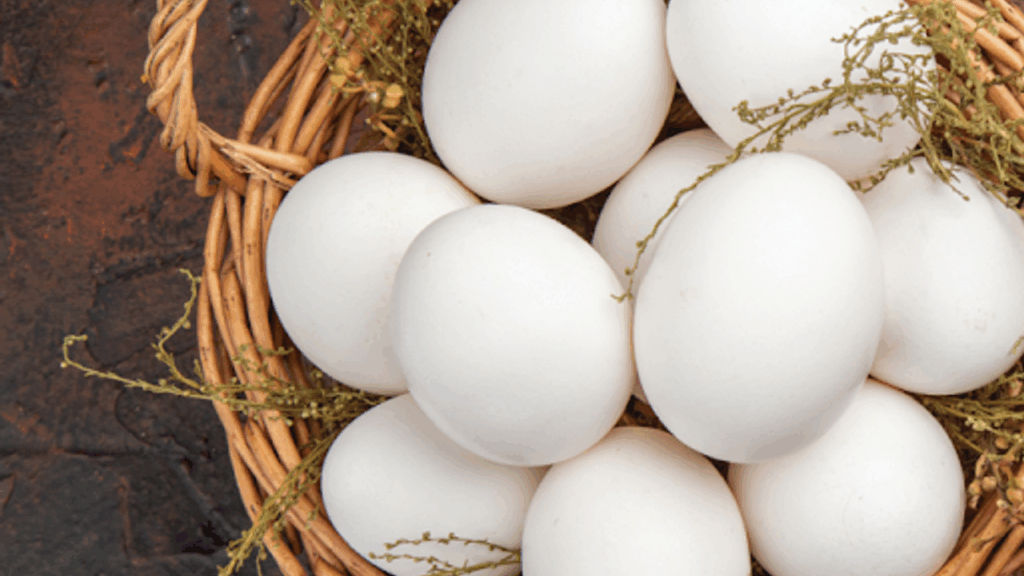 Türkiye’den Yumurta İhracatında Yeni Kontrol Mekanizması Uygulaması