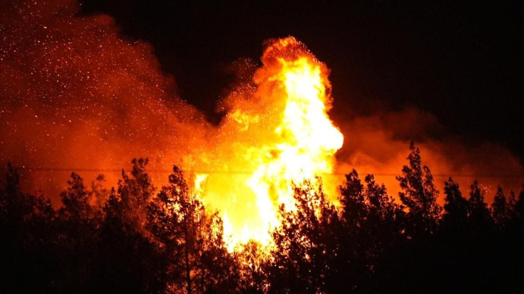 TZOB Başkanı Bayraktar: Artan Sıcaklıklar ve İnsan Faktörü Orman Yangınlarının En Büyük Nedenleri