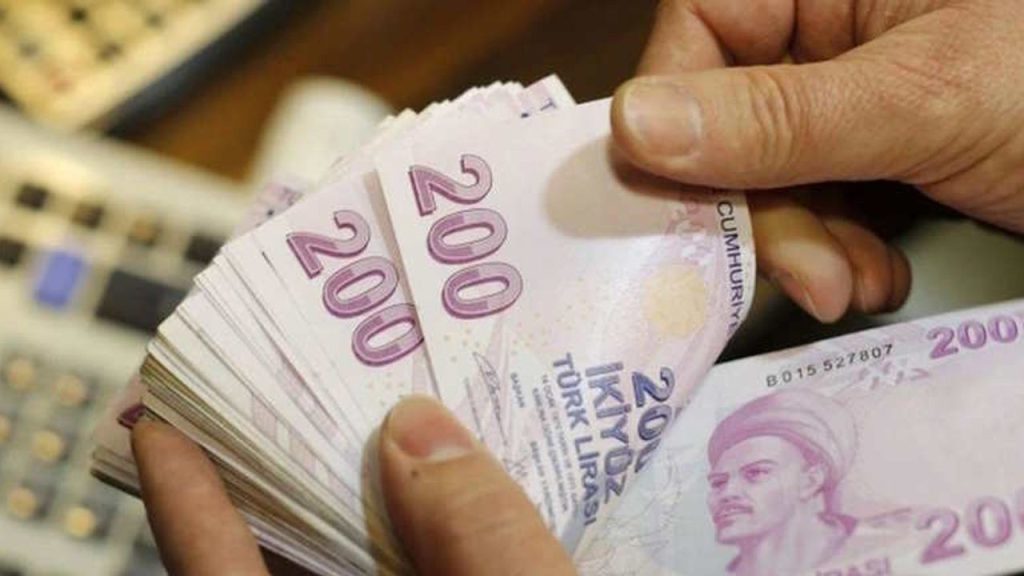 Ulusal Vefa Programı ile Yaşlı ve Engelli Vatandaşlara Destek Devam Ediyor