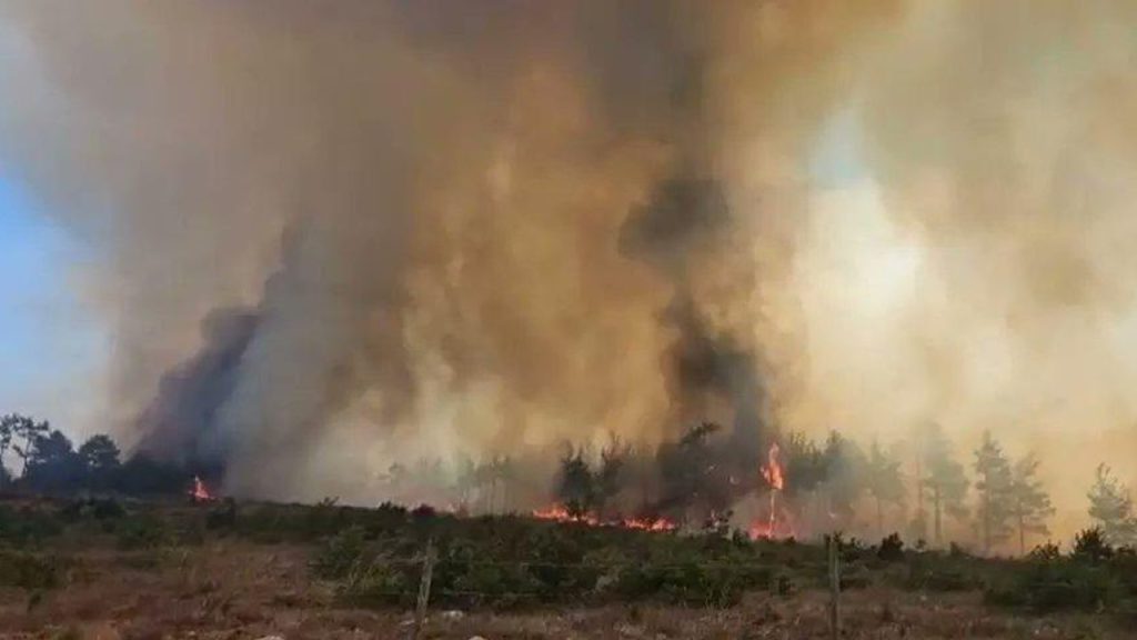 Ankara-BHA: Bakan Yumaklı’dan Yangınlara ilişkin açıklama