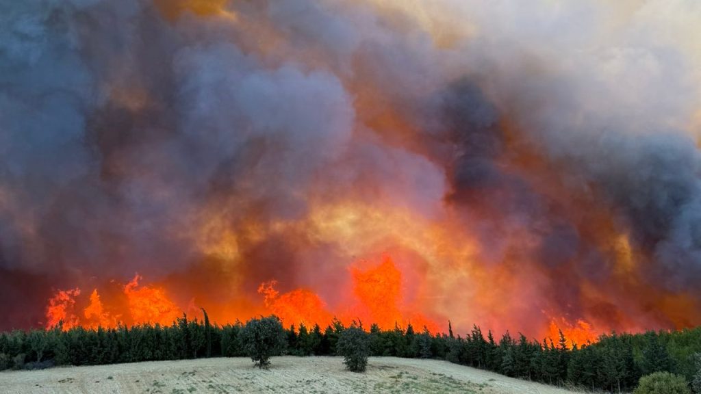 Çanakkale’de Orman Yangını ve Güncel Gelişmeler