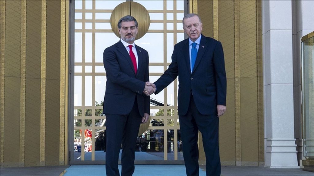 Erdoğan ve Kavelashvili Arasında Stratejik Zirve