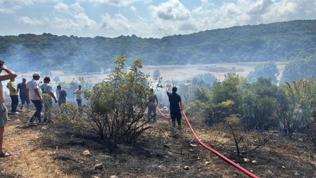 Kırklareli Vize’de Otluk Alanda Yangın Çıktı, Ormana Sıçradı