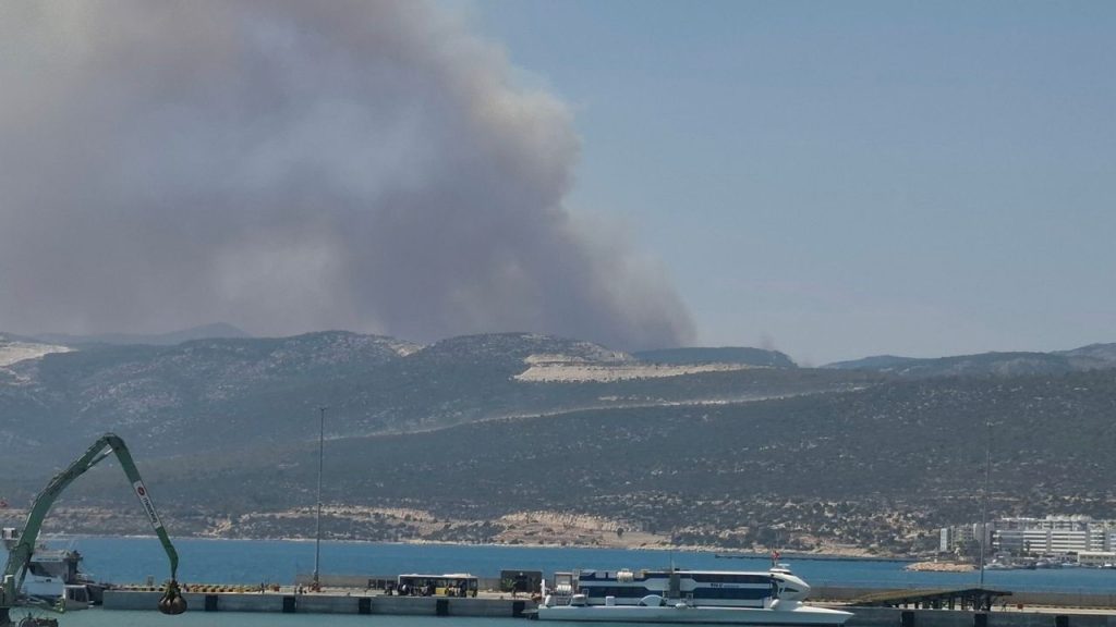 Mersin Silifke’de Orman Yangını Çıkardı