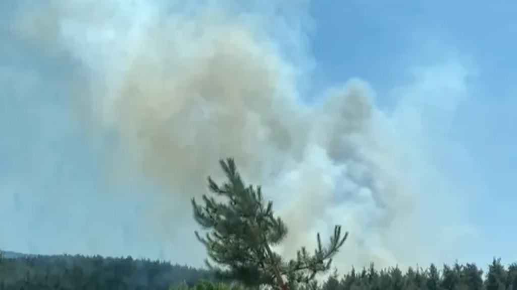 Mersin’de Orman Yangını Kontrol Altına Alınıyor