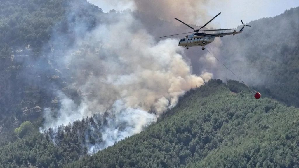 MSB’nin Yeşil Vatan destekleriyle orman yangınlarına hızlı müdahale